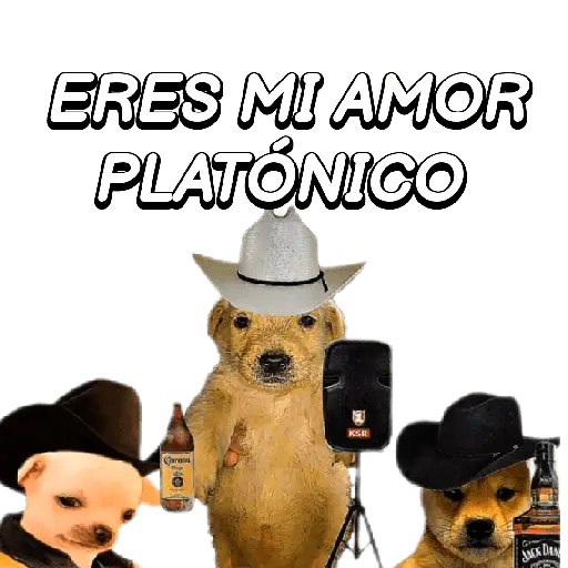 Eres Algo Inalcanzable 🎵🎼🎵