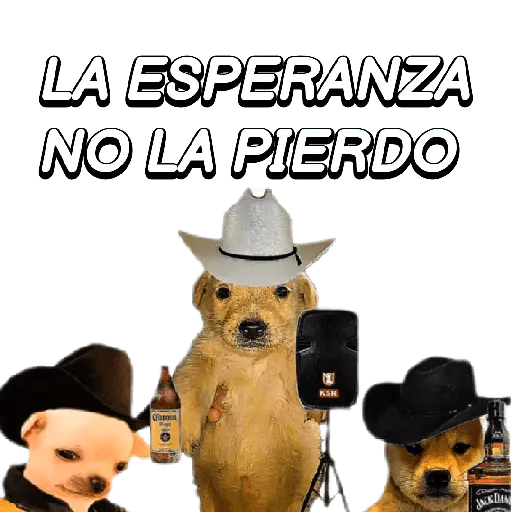 Eres Algo Inalcanzable 🎵🎼🎵