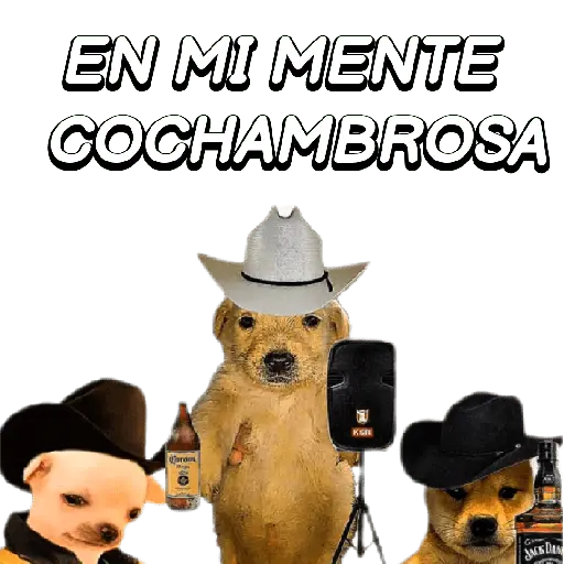 Eres Algo Inalcanzable 🎵🎼🎵