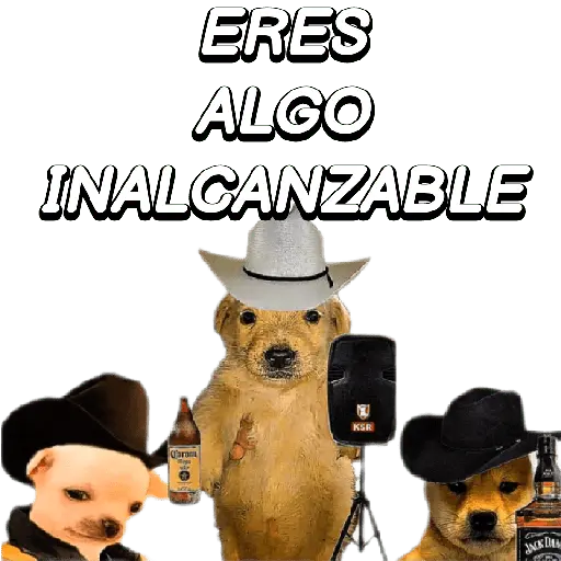 Eres Algo Inalcanzable 🎵🎼🎵