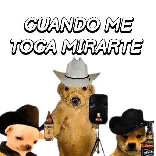 Eres Algo Inalcanzable 🎵🎼🎵