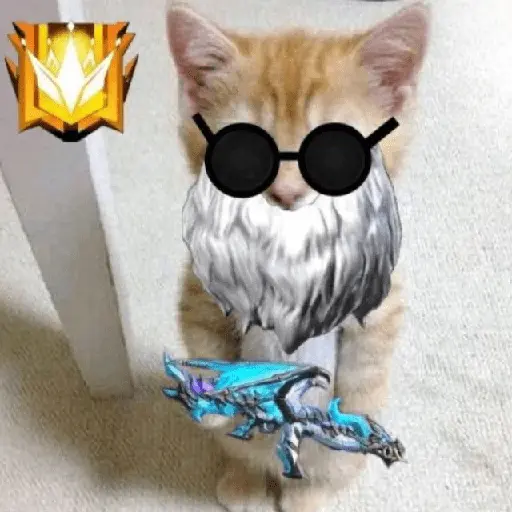 Memes do Free Fire