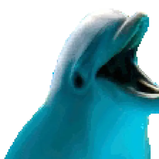 El pequeño delfín que hacía 🐬