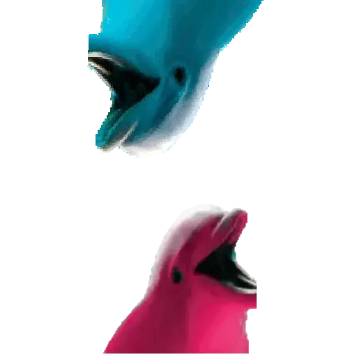 El pequeño delfín que hacía 🐬