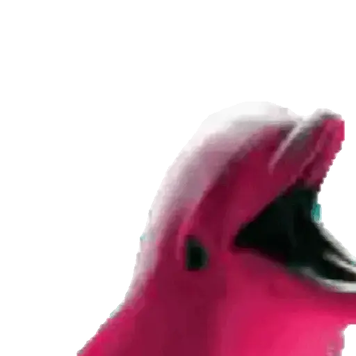 El pequeño delfín que hacía 🐬
