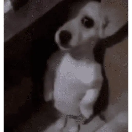 tiktok comentarios pt2