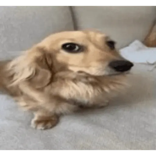 tiktok comentarios pt2