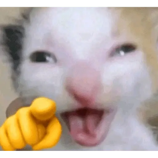 tiktok comentarios pt2