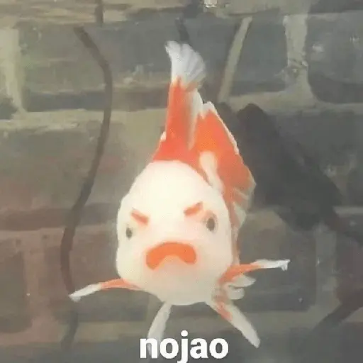 🙄🤬 Enojo - Rabia 😡🤬😤