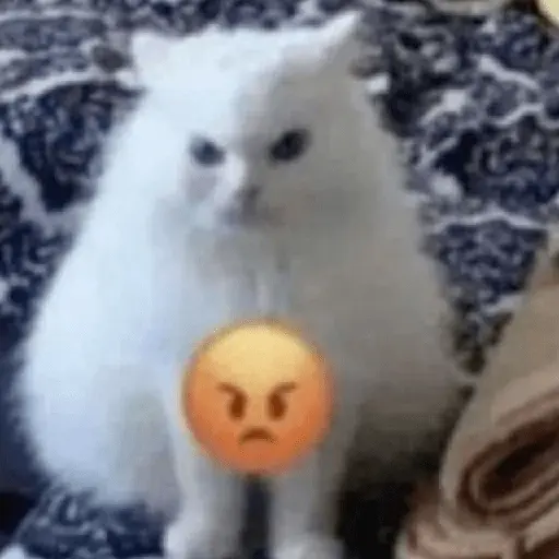 🙄🤬 Enojo - Rabia 😡🤬😤