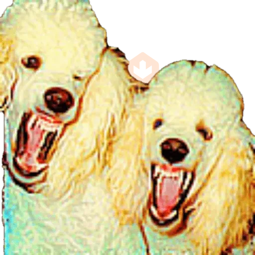 Reacciones para confundir 😳 sticker 14