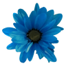 tray-icon