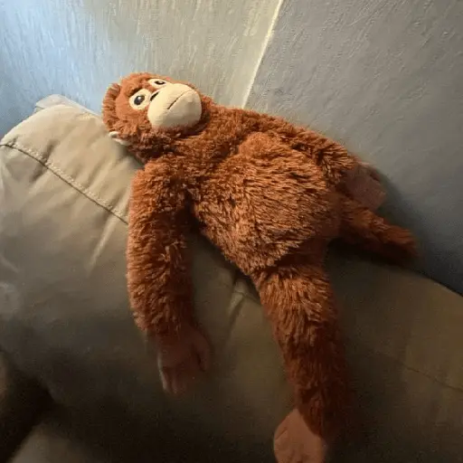 monkey plushie 🐒Mono peluche 🙈