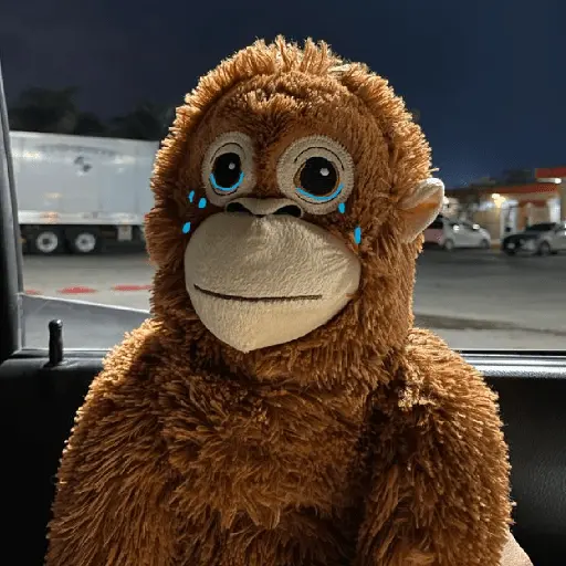 monkey plushie 🐒Mono peluche 🙈