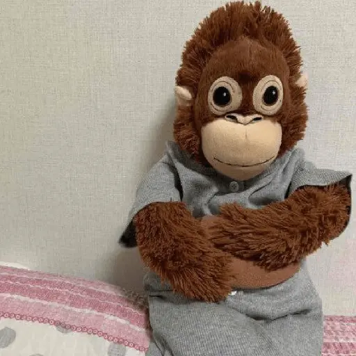 monkey plushie 🐒Mono peluche 🙈