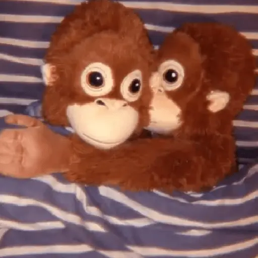 monkey plushie 🐒Mono peluche 🙈