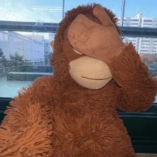 monkey plushie 🐒Mono peluche 🙈