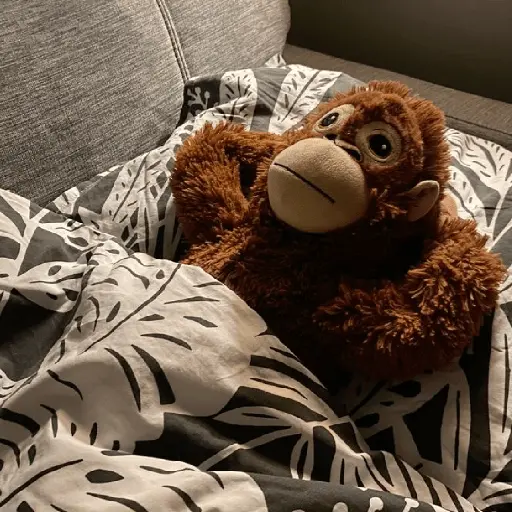 monkey plushie 🐒Mono peluche 🙈