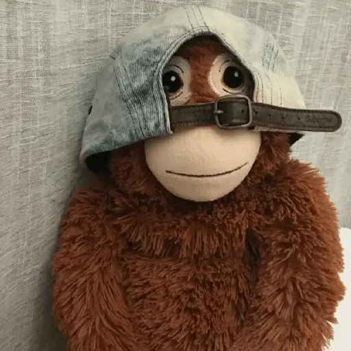 monkey plushie 🐒Mono peluche 🙈