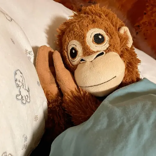 monkey plushie 🐒Mono peluche 🙈