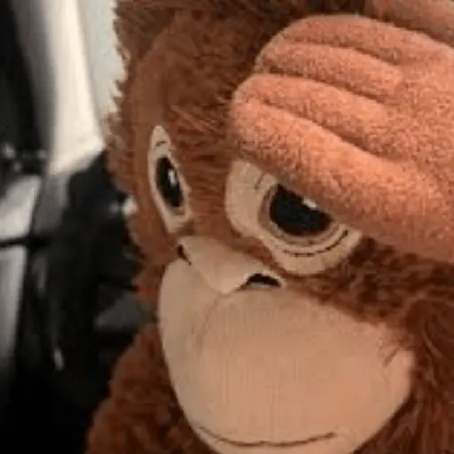 monkey plushie 🐒Mono peluche 🙈
