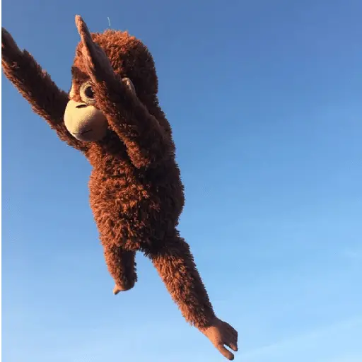 monkey plushie 🐒Mono peluche 🙈