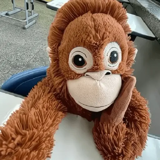 monkey plushie 🐒Mono peluche 🙈