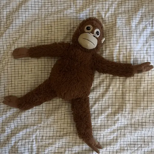 monkey plushie 🐒Mono peluche 🙈