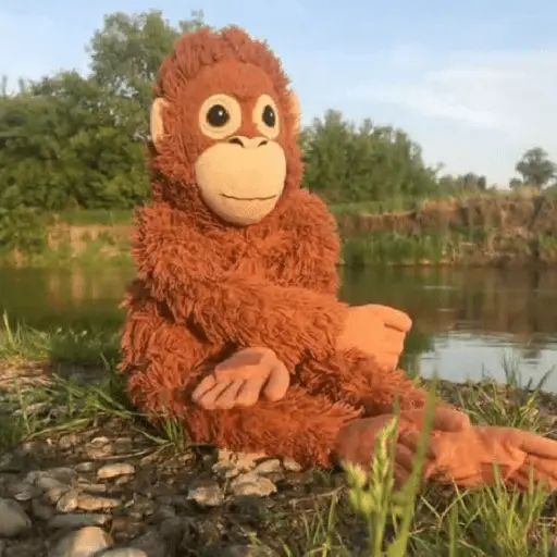 monkey plushie 🐒Mono peluche 🙈