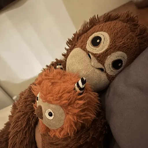monkey plushie 🐒Mono peluche 🙈