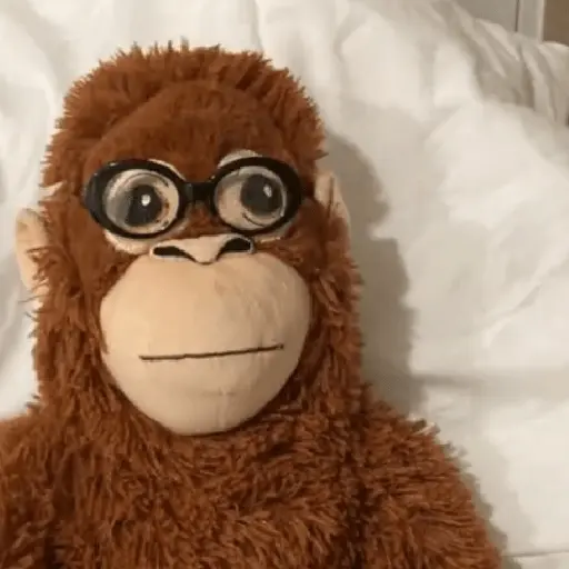 monkey plushie 🐒Mono peluche 🙈