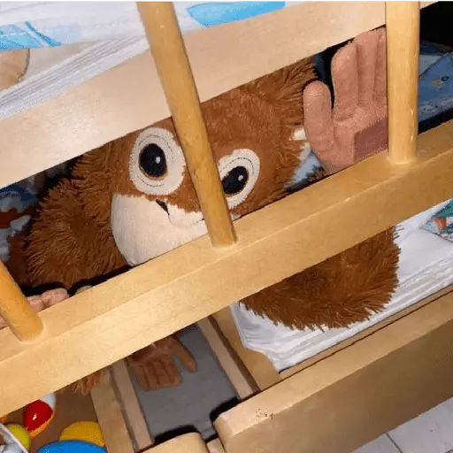 monkey plushie 🐒Mono peluche 🙈