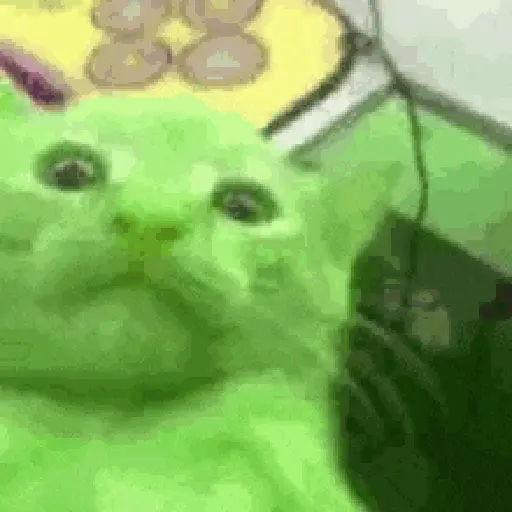 Gato alien tiktok 👽