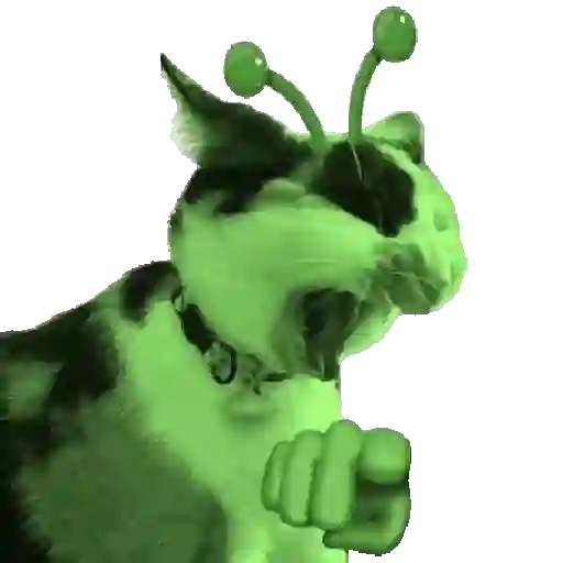 Gato alien tiktok 👽