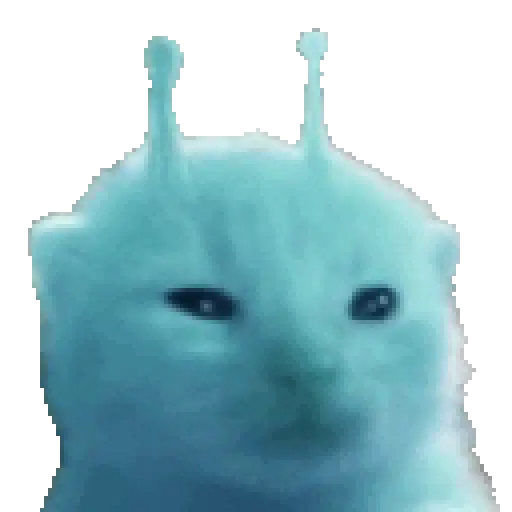 Gato alien tiktok 👽