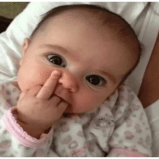 Bebés 1