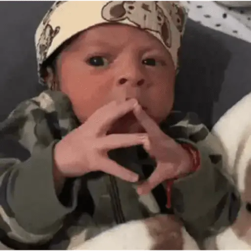 Bebés 1