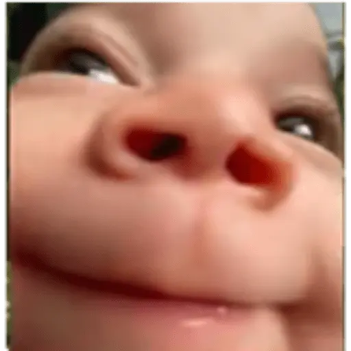 Bebés 1