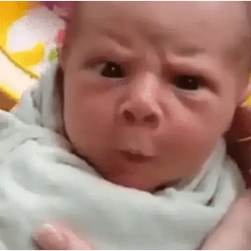 Bebés 1