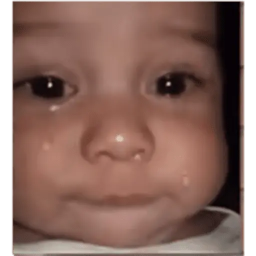 Bebés 1