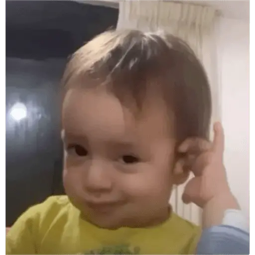 Bebés 1