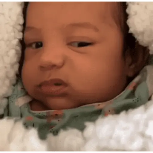 Bebés 1