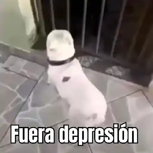 fuera fuera depresion 🗣