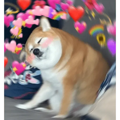 💕💕 EXPLOSIÓN DE AMOR 💕💕