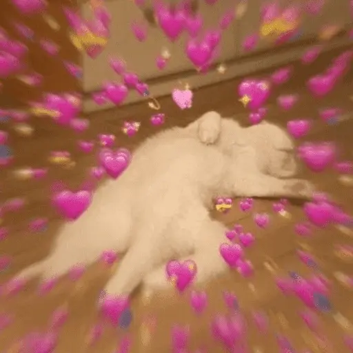 💕💕 EXPLOSIÓN DE AMOR 💕💕