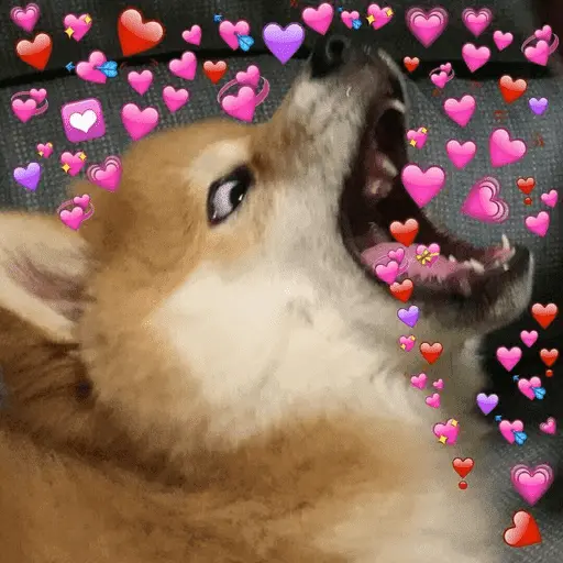 💕💕 EXPLOSIÓN DE AMOR 💕💕