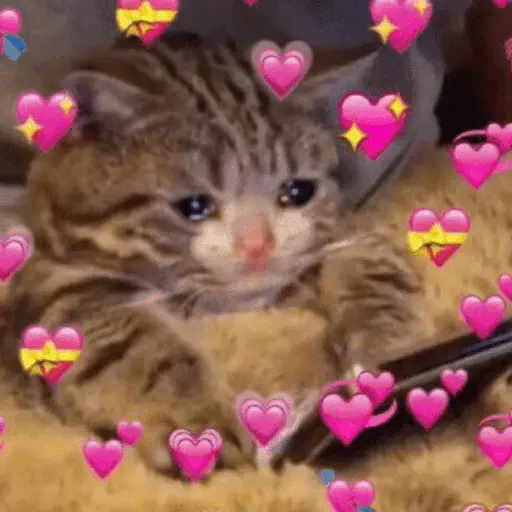 💕💕 EXPLOSIÓN DE AMOR 💕💕