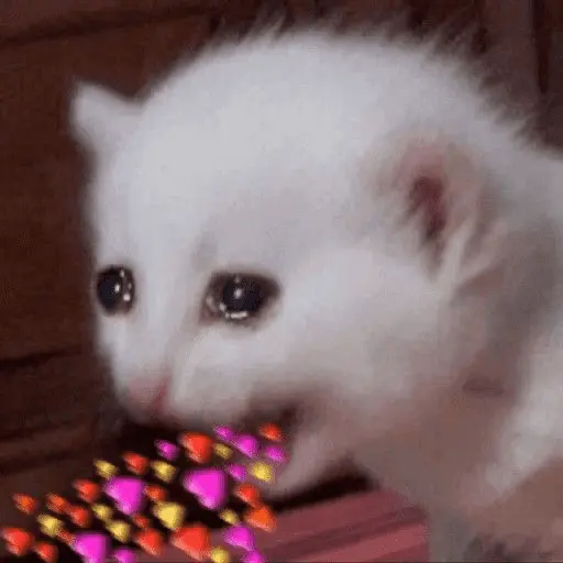 💕💕 EXPLOSIÓN DE AMOR 💕💕