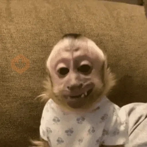 reacciones tiktok sticker 28