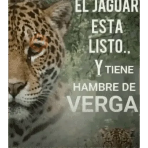 reacciones tiktok sticker 19